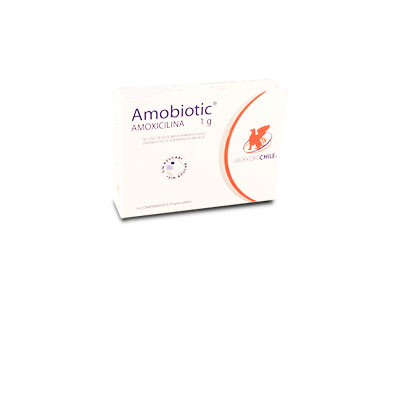 Amobiotic 1 g x 14 comprimidos dispersables