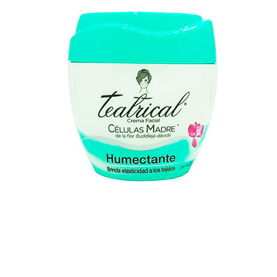 Teatrical humectante crema facial x 200 g