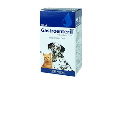Gastroenteril 2,5 % suspensión oral x 120 ml