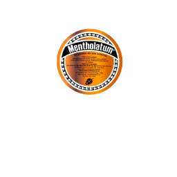[20029] Mentholatum ungüento x 12 g 